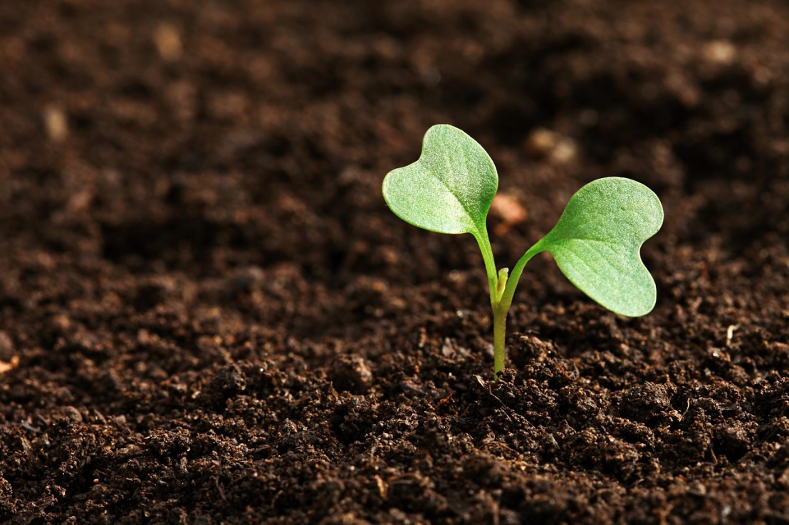 Boden Kultivieren – So bringst du Nährstoffe in die Erde